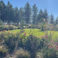 les jardins de clapiéra
