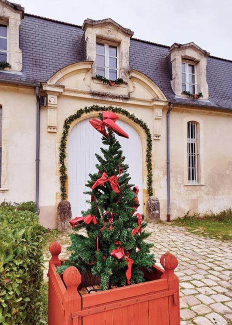 chateau de tiregand