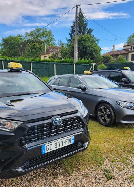 Abeilles Bergerac Taxis à votre service
