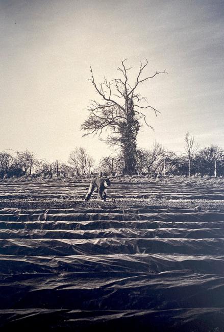 Centre d’Art de la photographie, espace Romain-Rolland : un nouveau regard sur la photographie contemporaine à Bergerac