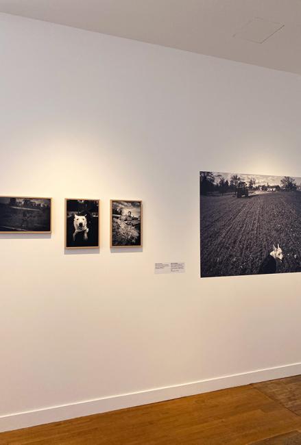 Centre d’Art de la photographie, espace Romain-Rolland : un nouveau regard sur la photographie contemporaine à Bergerac
