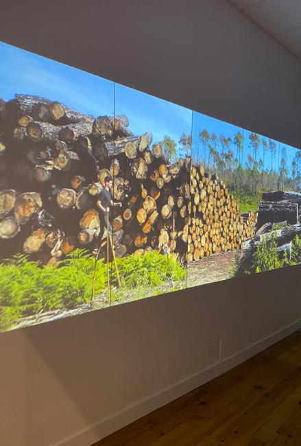 Centre d’Art de la photographie, espace Romain-Rolland : un nouveau regard sur la photographie contemporaine à Bergerac