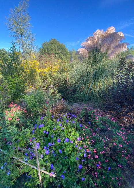 Les Jardins de Clapiéra