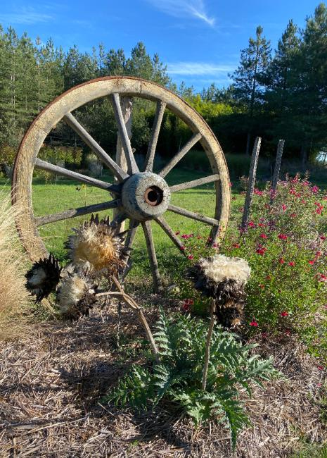 Les Jardins de Clapiéra