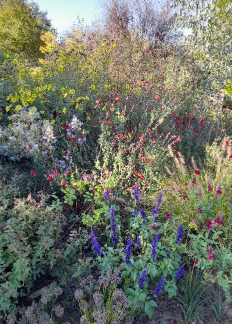 Les Jardins de Clapiéra