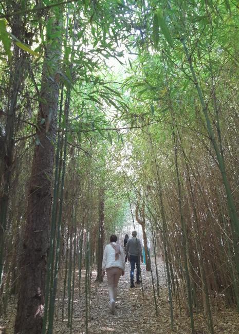 Les Jardins de Clapiéra