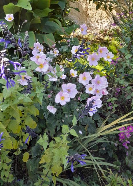 Les Jardins de Clapiéra