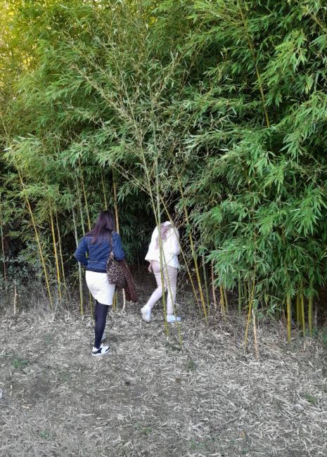 Les Jardins de Clapiéra