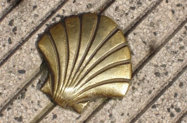 coquille saint-jacques