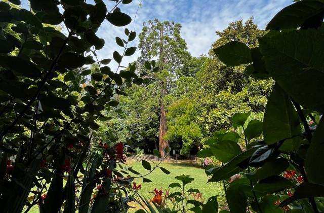 Jardins panoramiques de Limeuil