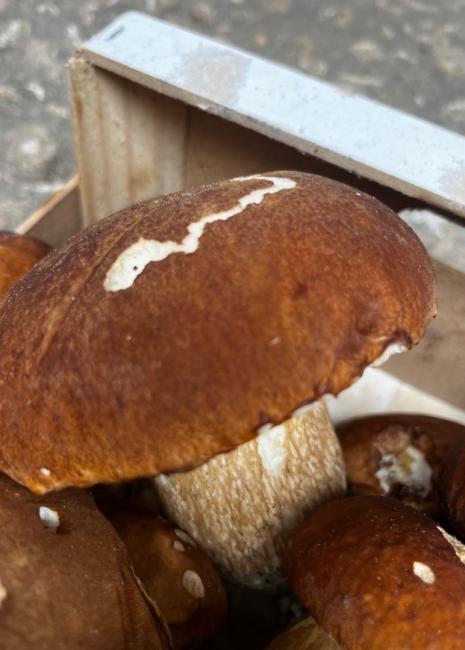 cepes à monpazier