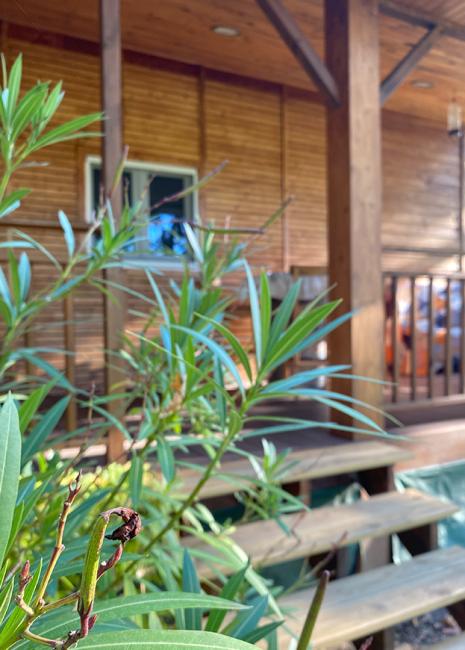 Le Gîte du Pic Vert : une valeur sûre