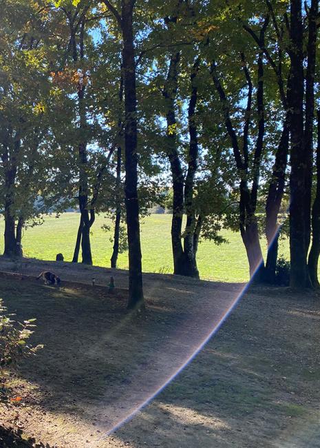 Le Gîte du Pic Vert : une valeur sûre