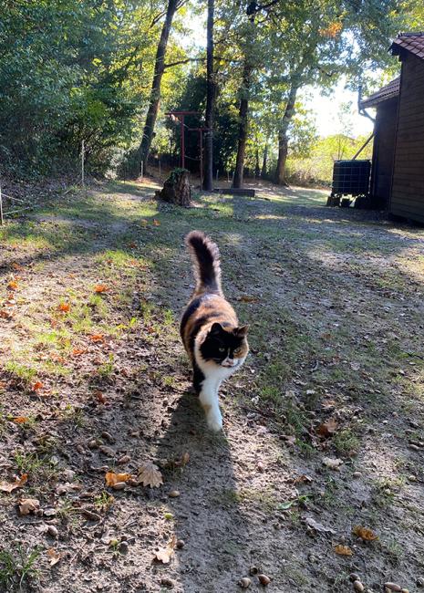Le Gîte du Pic Vert : une valeur sûre